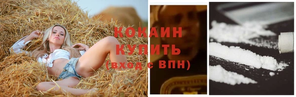 мескалин Богородицк