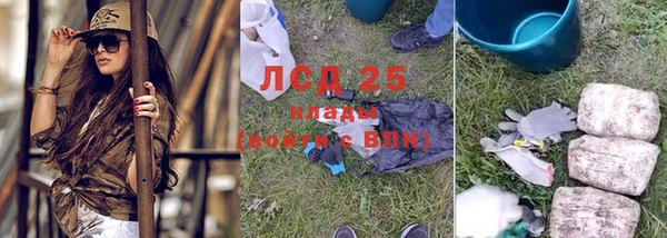 винт Богданович