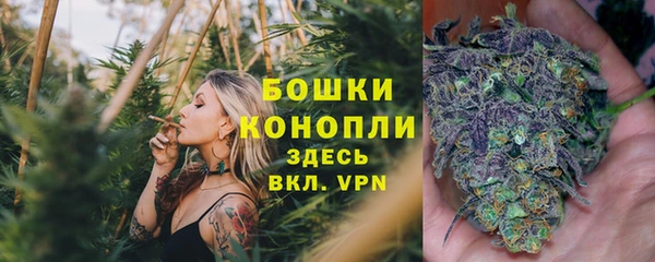 мескалин Богородицк