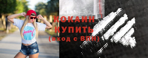 винт Богданович